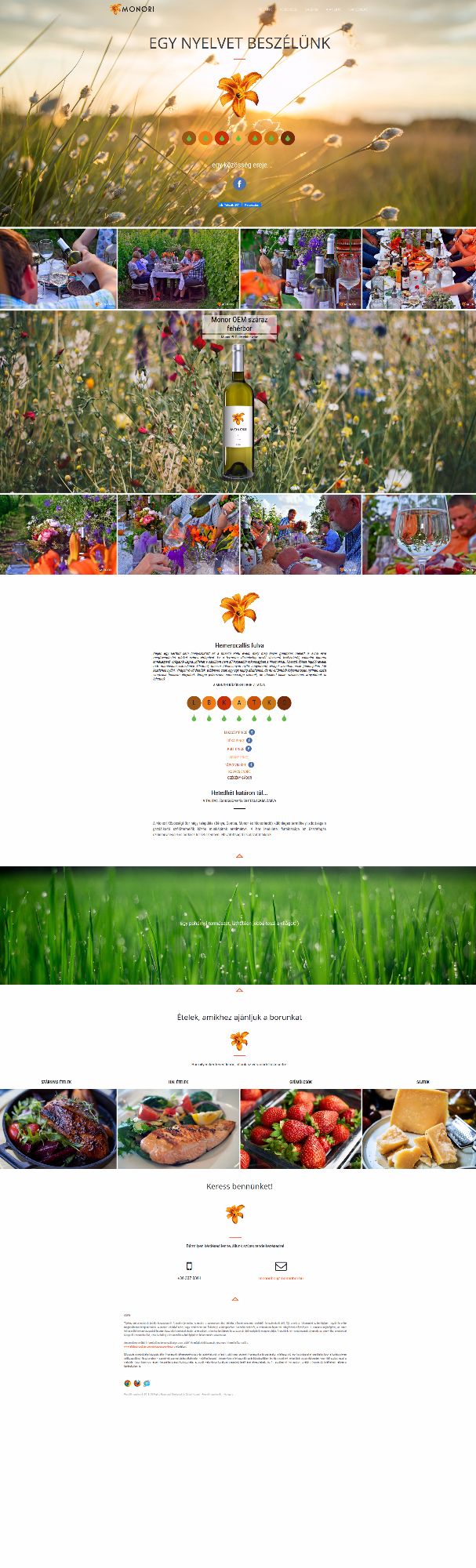 borászati weboldal dizájn